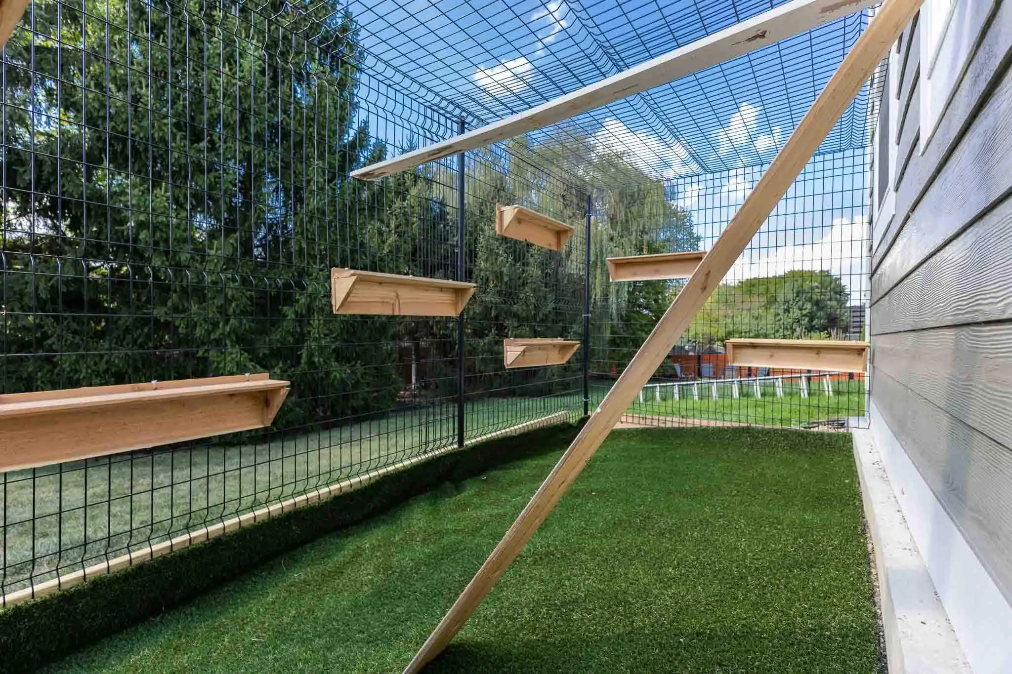 Custom outdoor catio built by AY Remodeling & Restoration in the Greater Indianapolis area, featuring secure wire fencing, climbing shelves, and artificial turf flooring.